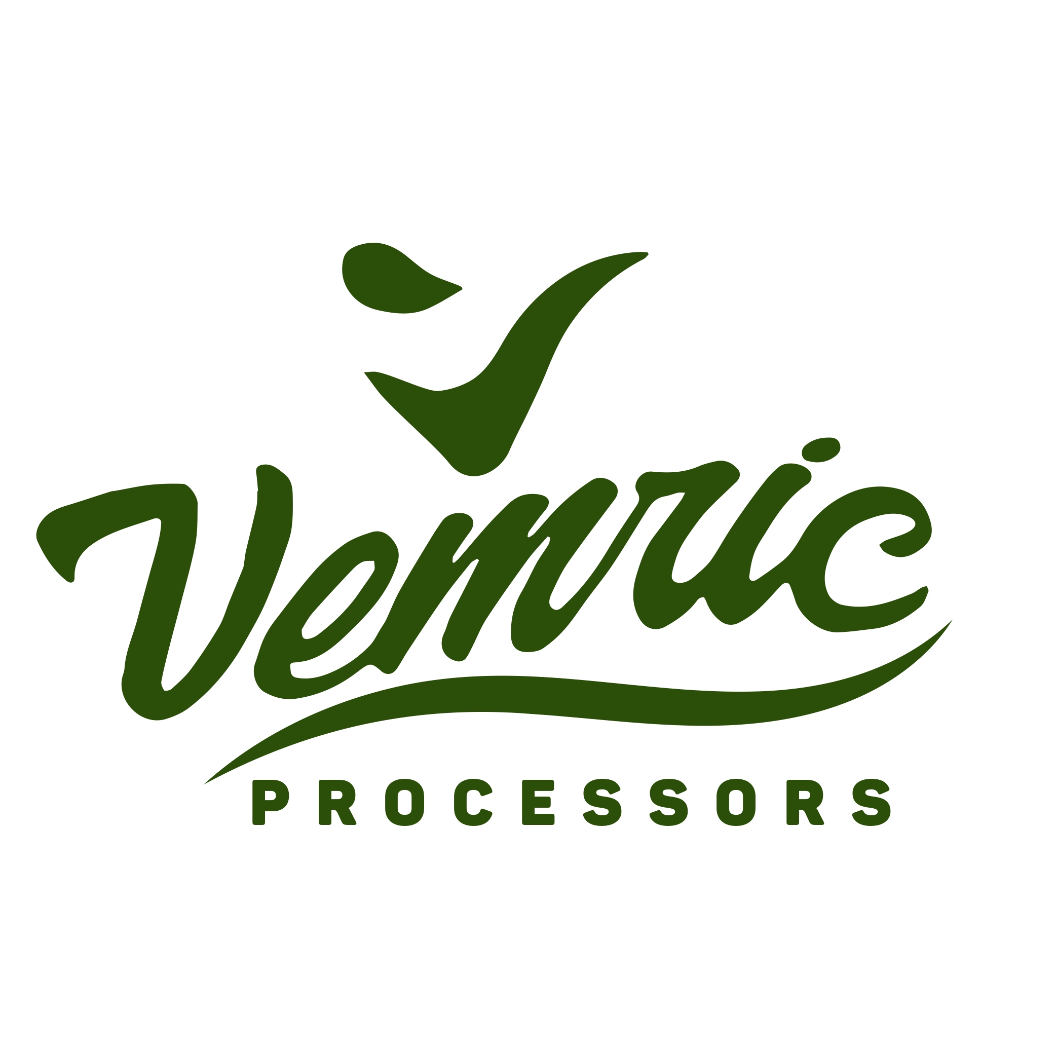 Vemric Careers Logo